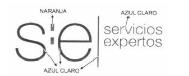 S:E|SERVICIOS EXPERTOS