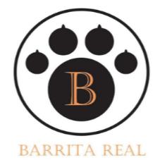 B BARRITA REAL