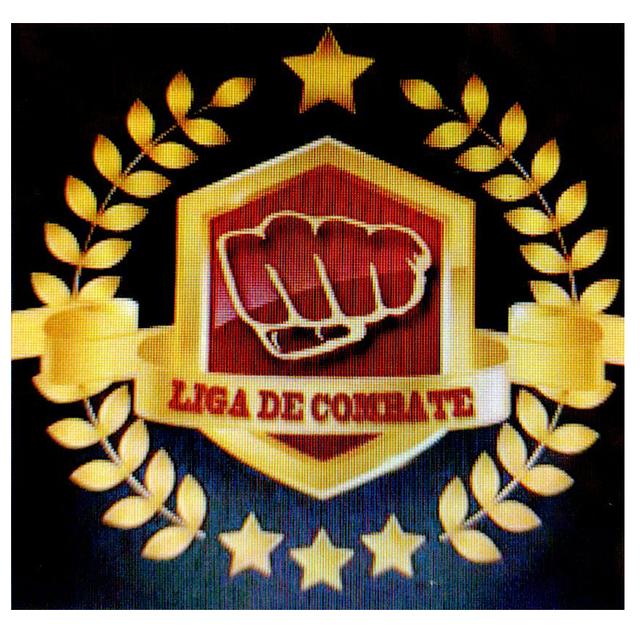 LIGA DE COMBATE