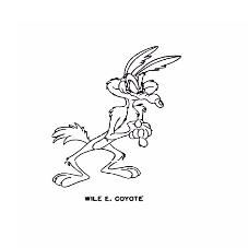 WILE E. COYOTE