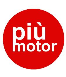 PIUMOTOR