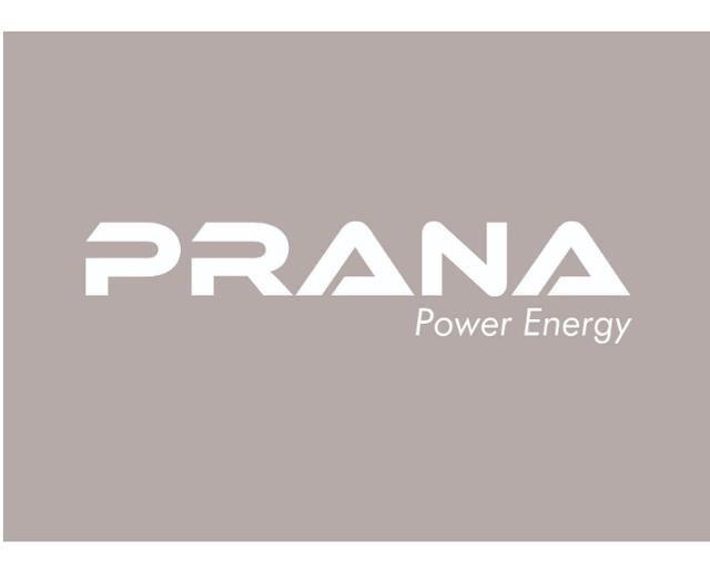 PRANA POWER ENERGY