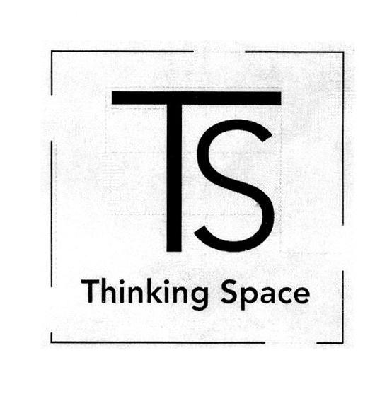 TS THINKING SPACE