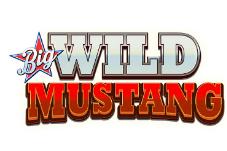 BIG WILD MUSTANG