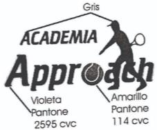 ACADEMIA APPROACH