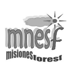 MNESF MISIONES FOREST