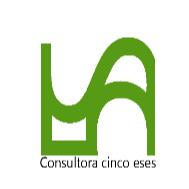 CONSULTORA CINCO ESES