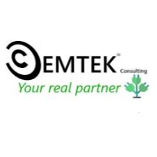 CEMTEK CONSULTING YOUR REAL PARTNER