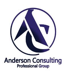 ACPG ANDERSON CONSULTING PROFESSIONAL GROUP