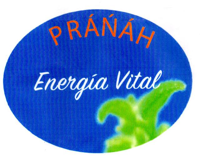 PRÁNÁH ENERGÍA VITAL