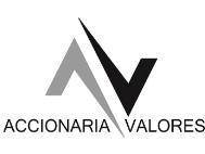 ACCIONARIA VALORES