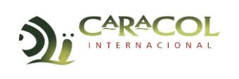 CARACOL INTERNACIONAL