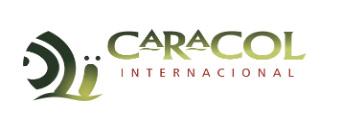 CARACOL INTERNACIONAL