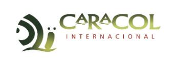 CARACOL INTERNACIONAL