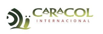CARACOL INTERNACIONAL