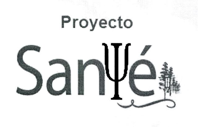PROYECTO SANYE