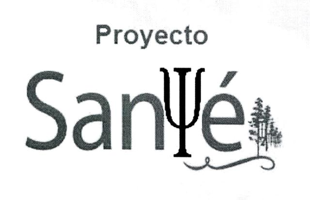 PROYECTO SANYE