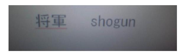SHOGUN