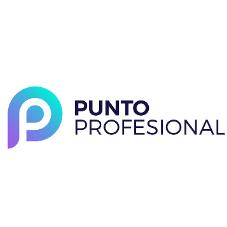 PUNTO PROFESIONAL P