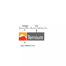 TERNIUM