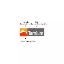 TERNIUM