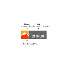 TERNIUM