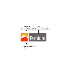 TERNIUM