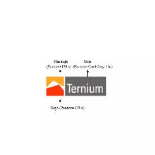 TERNIUM