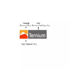 TERNIUM