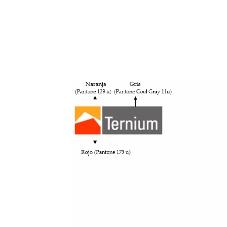 TERNIUM