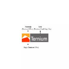 TERNIUM