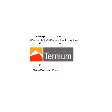 TERNIUM