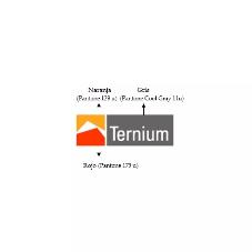 TERNIUM