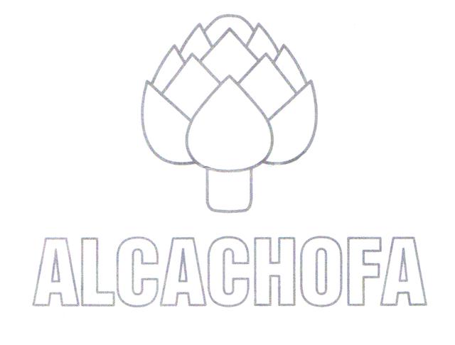 ALCACHOFA