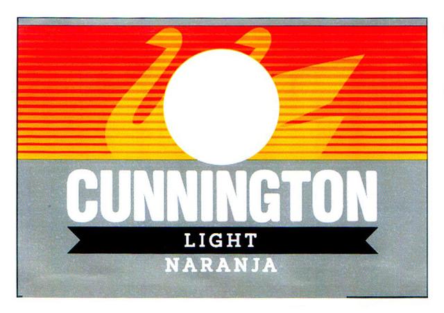 CUNNINGTON LIGHT NARANJA