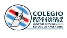 COLEGIO DE PROFESIONALES EN ENFERMERIA DEL SUR DE LA PROVINCIA DE SANTA FE REPUBLICA ARGENTINA