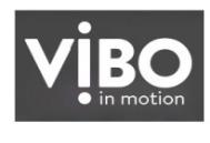 VIBO IN MOTION