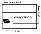 MEGACARIOGEN