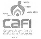 CAFI CAMARA ARGENTINA DE FRUTICULTORES INTEGRADOS