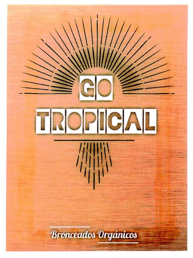 GO TROPICAL BRONCEADOS ORGANICOS