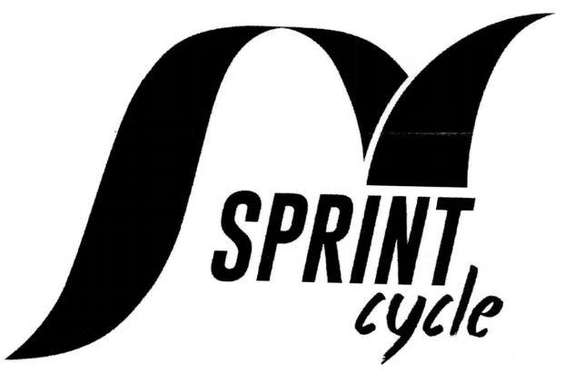 SPRNT CYCLE