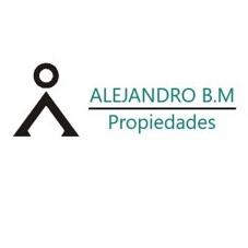 ALEJANDRO B.M PROPIEDADES