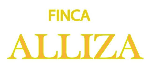 FINCA ALLIZA