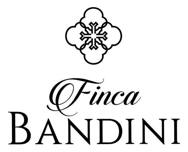 FINCA BADINI