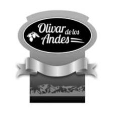 OLIVAR DE LOS ANDES