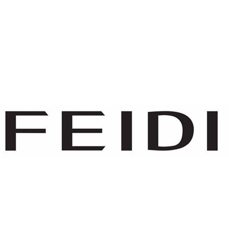 FEIDI