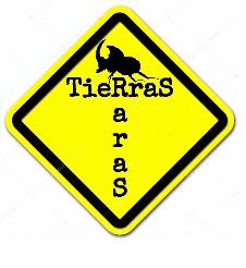 TIERRAS RARAS