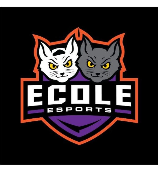 ECOLE ESPORTS