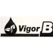 VIGOR B