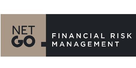 NET GO FINANCIAL RISK MANAGEMENT
